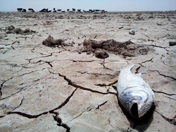 بحران در دریاچه هامون