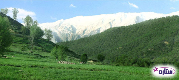 ذخیره‌گاه سبز کوه در استان چهارمحال بختیاری